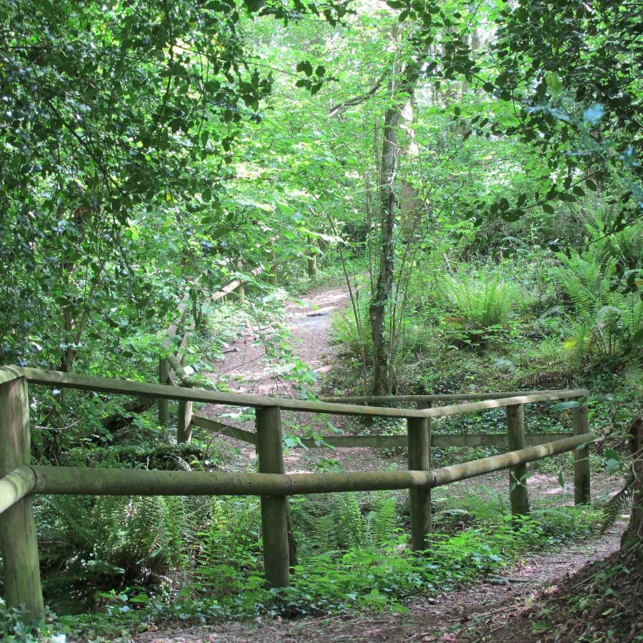 Castle Brake Holiday Park 埃克塞特 外观 照片